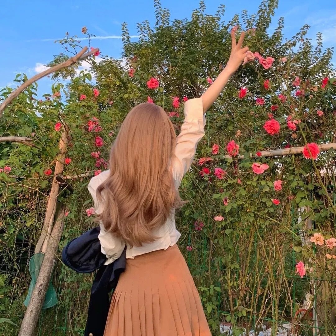 蜻蜓不是昆虫