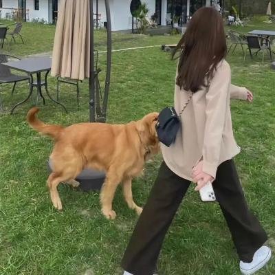梦境生死劫